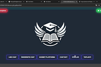 build a professional full stack web application