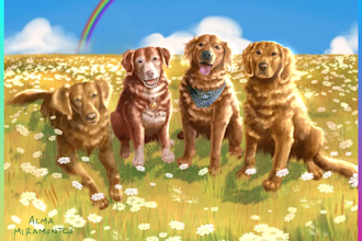 draw a digital portrait of your pet