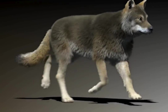 do any 3d animal model 3d animation 3d creature 3d character animation cgi fx