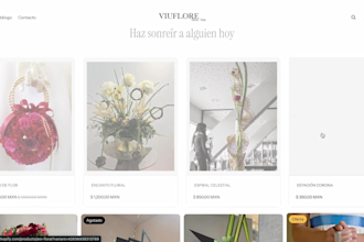 create your shopify store and convert visits into sales