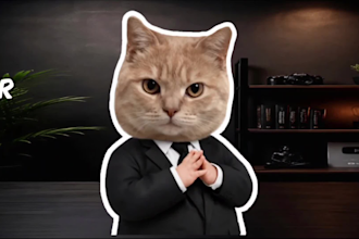 create a viral video blueprint and content strategy