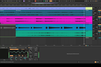 produce a professional track for your project
