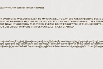 provide flawless trilingual translation