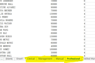 clean, format excel data