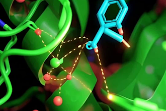 perform molecular docking and drug discovery analysis
