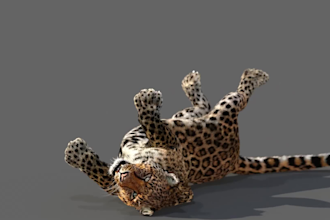 create realistic 3d animal animation, 3d creature design, animal models, fur