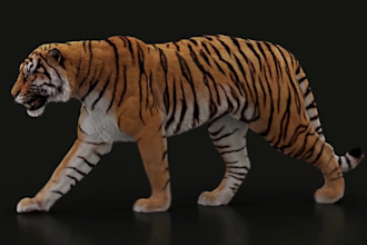 create realistic 3d animal animation, 3d animal design, animal xgen and fur rig