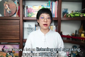provide tailored chinese class for you