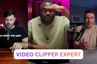 clipper for twitch clips podcast clips gaming shorts stream kick video clipper