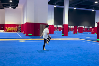 professional chinese tutor and wushu culture coach