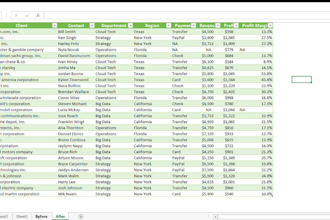 organize, clean, and format microsoft excel data