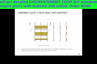 draw your chicken coop, rabbit coop, duck coop DIY woodworking project plans