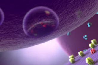 create 3d pharmaceutical moa animation drug mechanism neuroscience animation