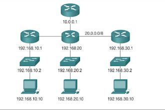 configure network switches routers olt epon