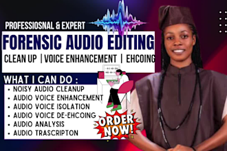 do forensic audio cleanup and enhancement, noise reduction, audio editing