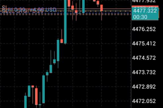 setup ea trading bot