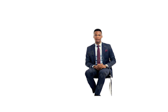 perform credit risk analysis and financial statement audit