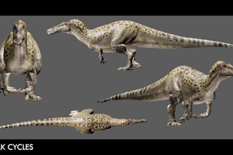 do 3d modelling, rigging, and animation