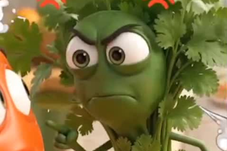 create funny talking food cartoon videos for you