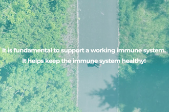 create a professional promotional marketing video for you