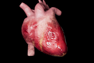 create 3d medical illustrations and videos