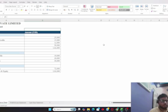 prepare balance sheet, profit and loss, and cash flow statement