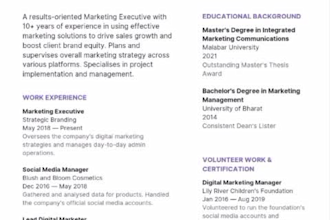 make eye catching resume and cv