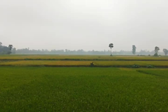 village life nature cinematic videos and reels in 4k