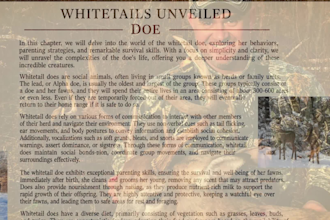 write beginner friendly bow hunting guides and acticles