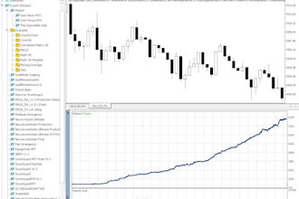 develop mt4 mt5 expert advisors and pine script strategies