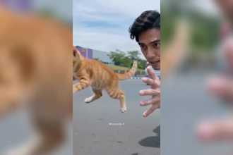 create cinematic ai videos for brands social media