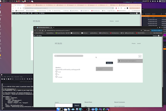 perform an advanced web pentest and security audit