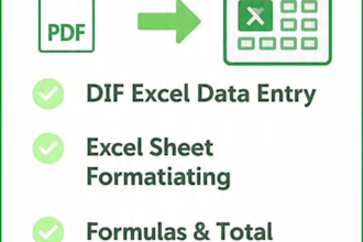 do urdu and english excel data entry and google sheets
