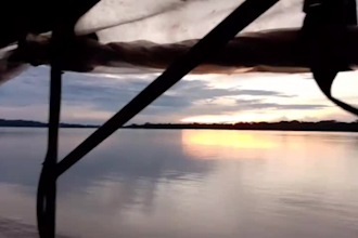 enjoy the jungle nature