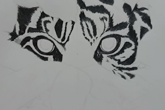 hand draw any pencil sketch, wildlife art in 24 hours