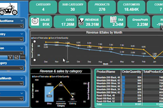 do data analysis, excel data cleaning and dashboards