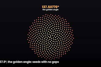 create a physics or math animation computed from real equations