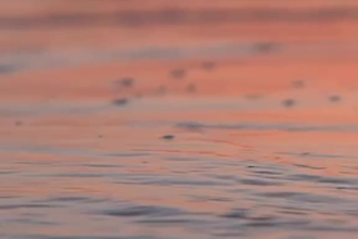 create a calming guided meditation with a soft female voice
