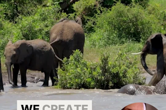 create a custom east and southern africa safari itinerary