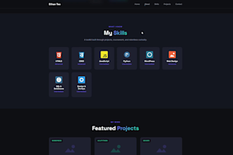 build a professional website in a zip file