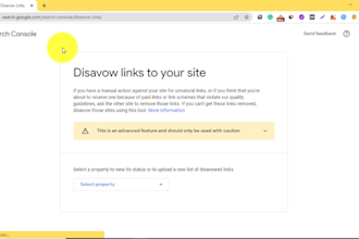 audit and disavow toxic spammy backlinks for google penalty removal