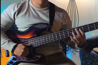 your professional level session bass player