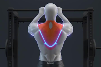 create 3d gym workout animation videos