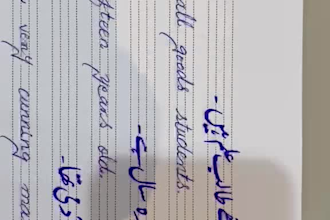 write your assignments in english and urdu