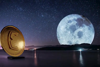 create professional finance videos, crypto and forex trading videos
