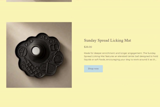 design a modern shopify website or shopify store