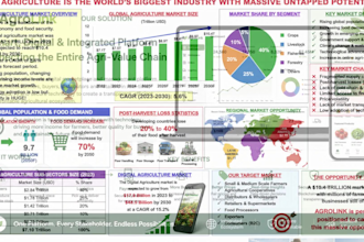 design an investor pitch deck for startups and businesses