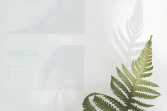 design modern business card or visiting card