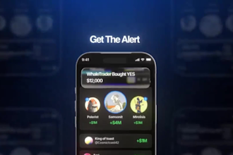 create an app promo, website, saas promo video
