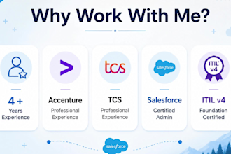 customize and develop solutions in salesforce